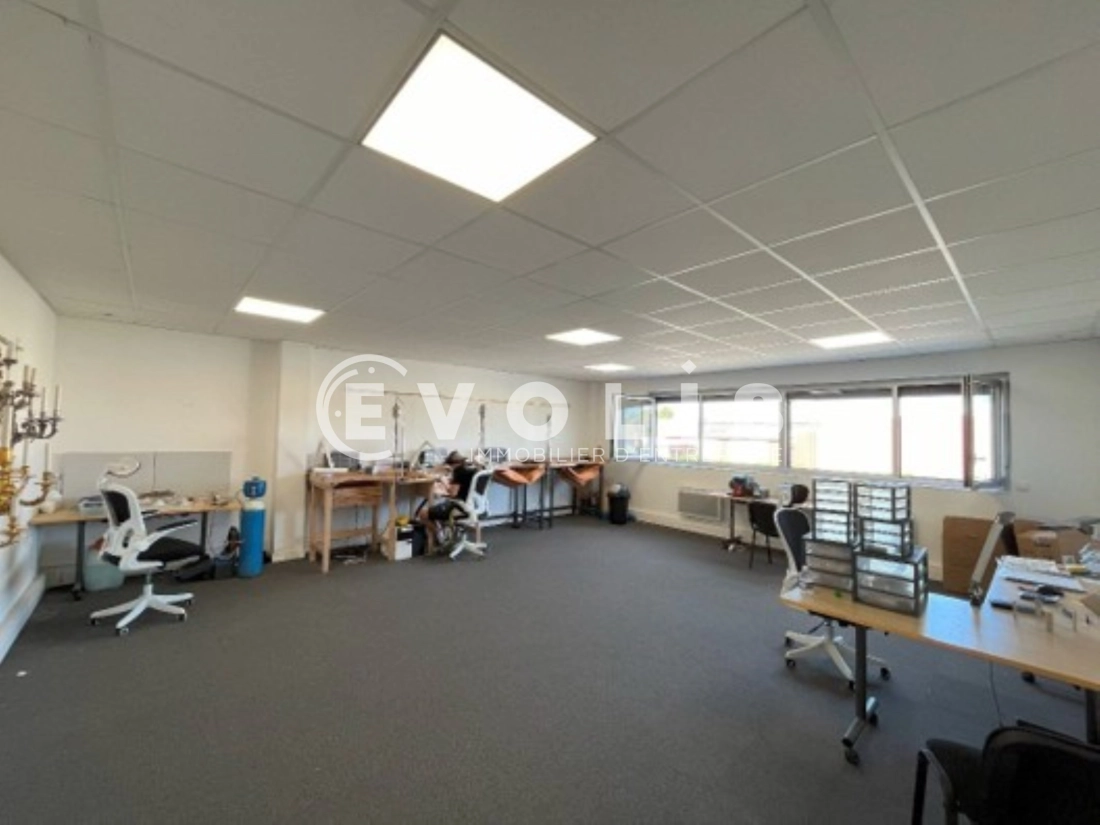 Photo 13 – location Entrepôts / activités	DECINES CHARPIEU (69150)
