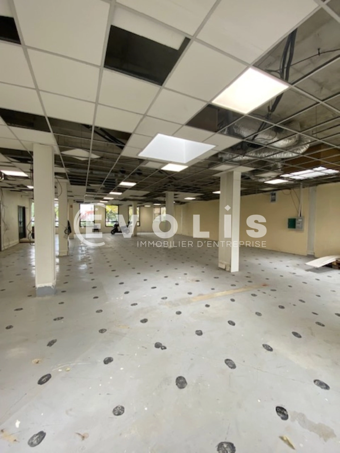 Photo 4 – location bureaux	MASSY (91300)