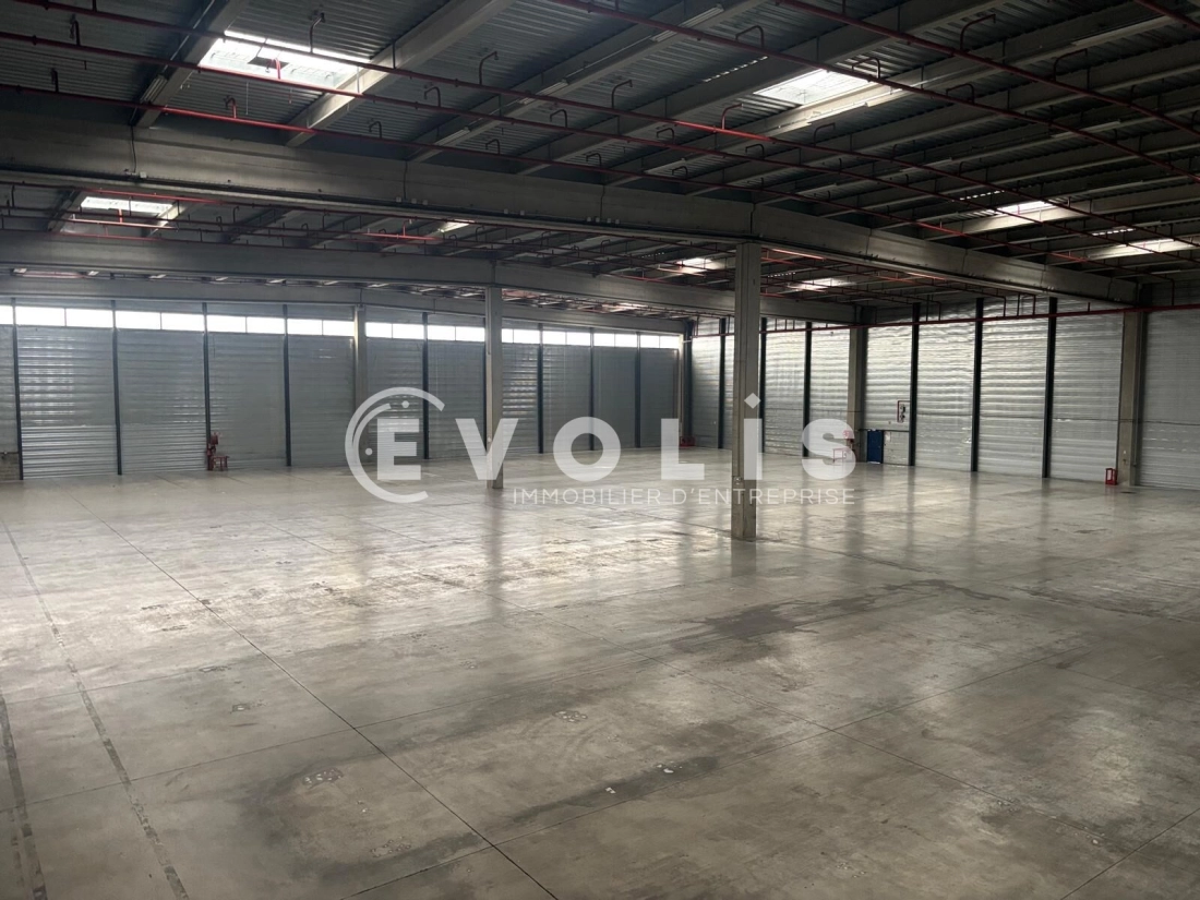 Photo 12 – location Entrepôts / activités	MIONS (69780)