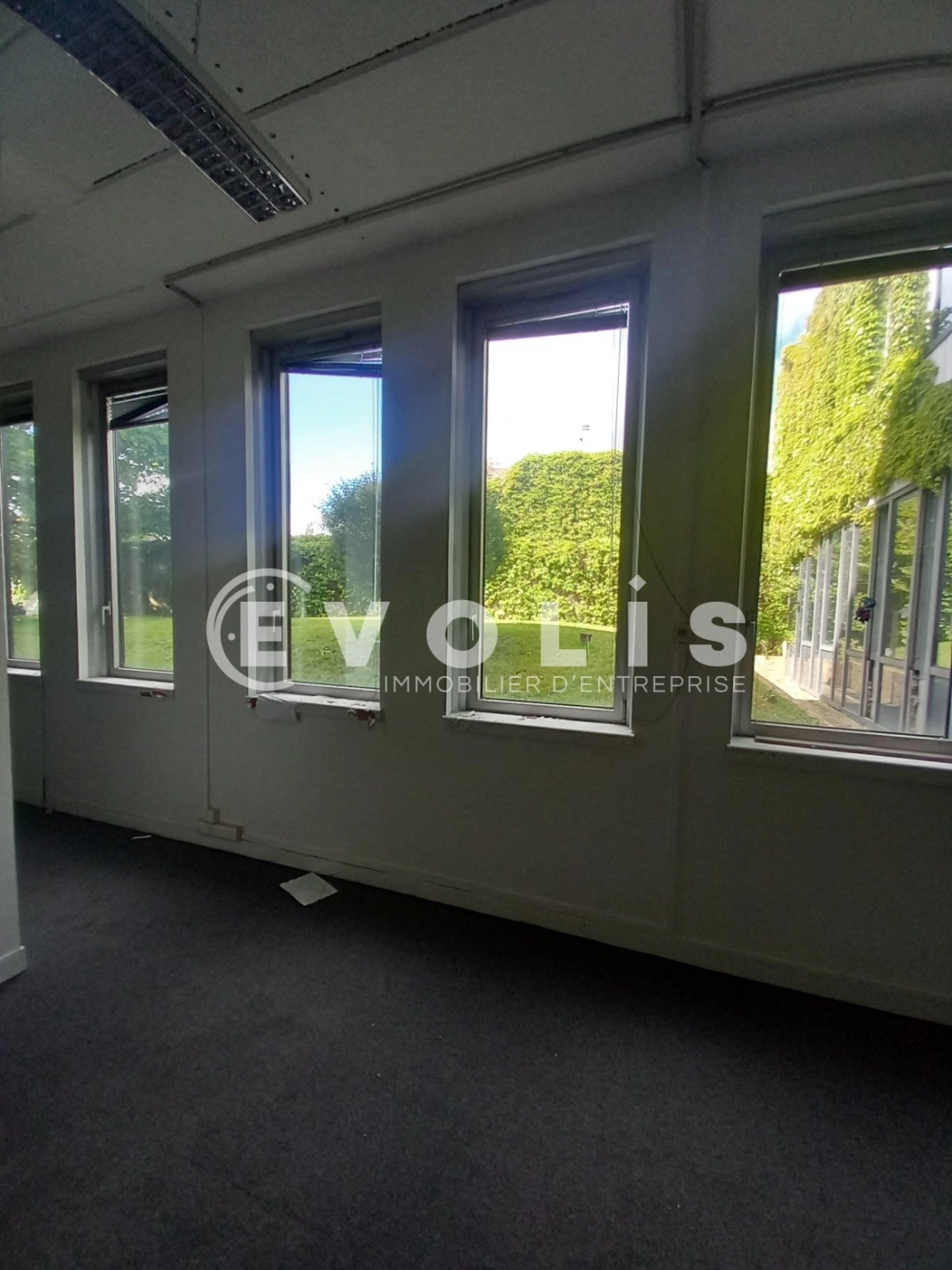 Photo 15 – location bureaux	MALAKOFF (92240)