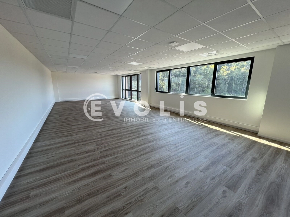 Photo 13 – location Entrepôts / activités	SAINT LAURENT DE MURE (69720)