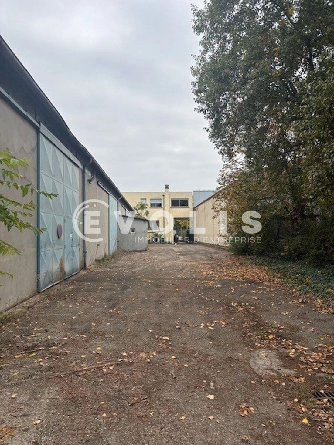 Photo 6 – vente Entrepôts / activités	DECINES CHARPIEU (69150)