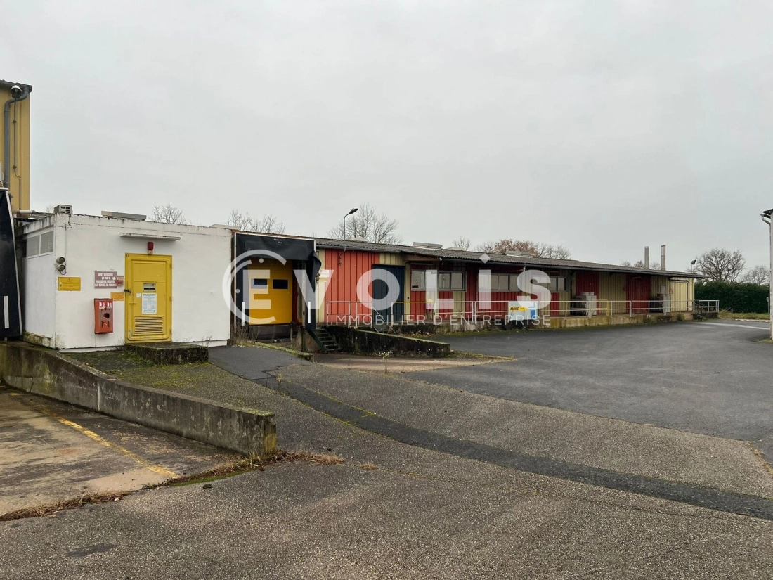 Photo 13 – vente Entrepôts / activités	SAINT TRIVIER SUR MOIGNANS (01990)