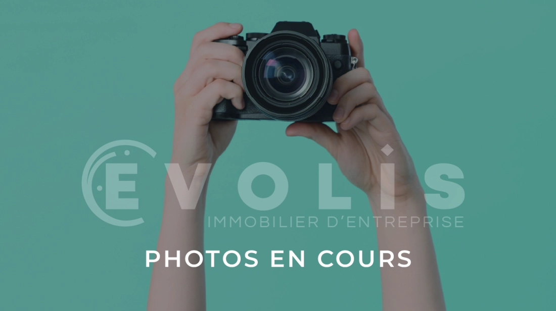 Photo Générique – vente Entrepôts / activités	CHAPONOST (69630)