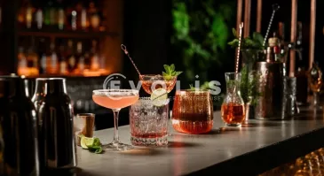 Photo 1 – location Locaux commerciaux	BORDEAUX (33000)