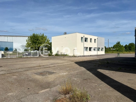 Photo 6 – location Entrepôts / activités	SAINT PRIEST (69800)