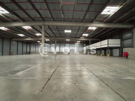 Photo 11 – location Entrepôts / activités	MIONS (69780)