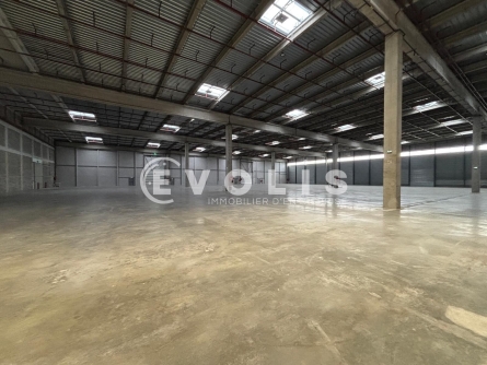 Photo 5 – location Entrepôts / activités	MIONS (69780)