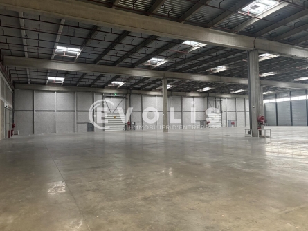 Photo 4 – location Entrepôts / activités	MIONS (69780)