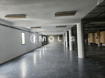 Photo 6 – location Entrepôts / activités	WISSOUS (91320)