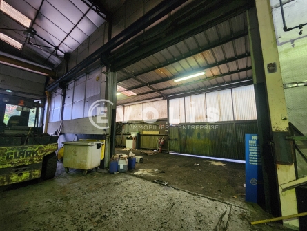 Photo 8 – location Entrepôts / activités	GRENAY (38540)