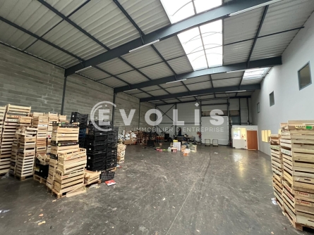 Photo 8 – location Entrepôts / activités	SAINT PRIEST (69800)