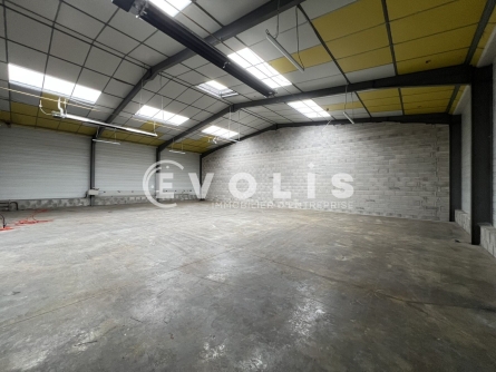 Photo 9 – location Entrepôts / activités	MONTLUEL (01120)