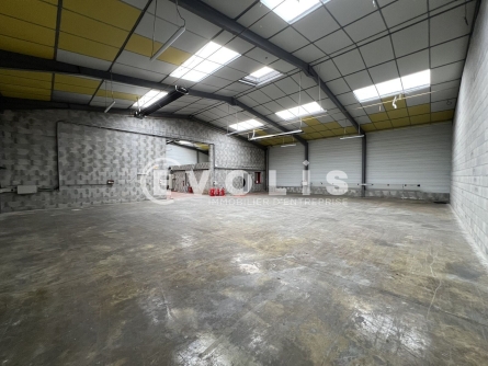 Photo 11 – location Entrepôts / activités	MONTLUEL (01120)