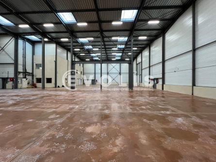 Photo 5 – vente Entrepôts / activités	LOZANNE (69380)