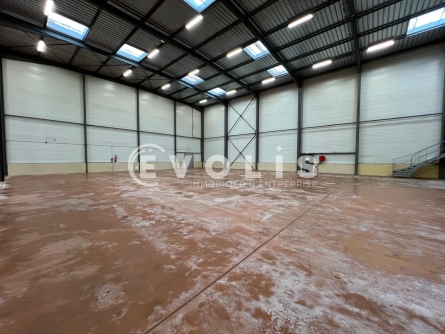 Photo 7 – vente Entrepôts / activités	LOZANNE (69380)