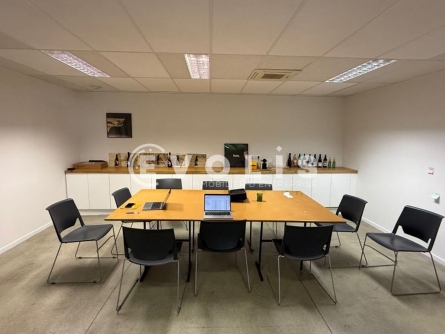 Photo 13 – location Entrepôts / activités	LYON (69007)