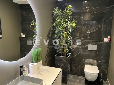 Photo 8 – location Entrepôts / activités	DECINES CHARPIEU (69150)