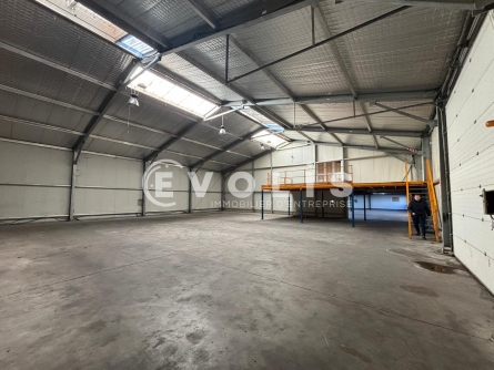 Photo 10 – vente Entrepôts / activités	FAREINS (01480)