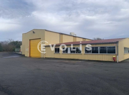 Photo 2 – vente Entrepôts / activités	SAINT TRIVIER SUR MOIGNANS (01990)