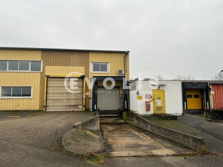 Photo 14 – vente Entrepôts / activités	SAINT TRIVIER SUR MOIGNANS (01990)