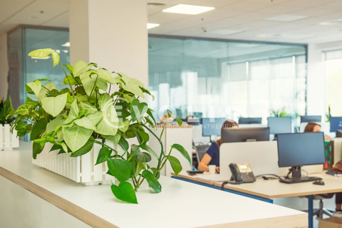 Photo 6 – location bureaux	EYBENS (38320)