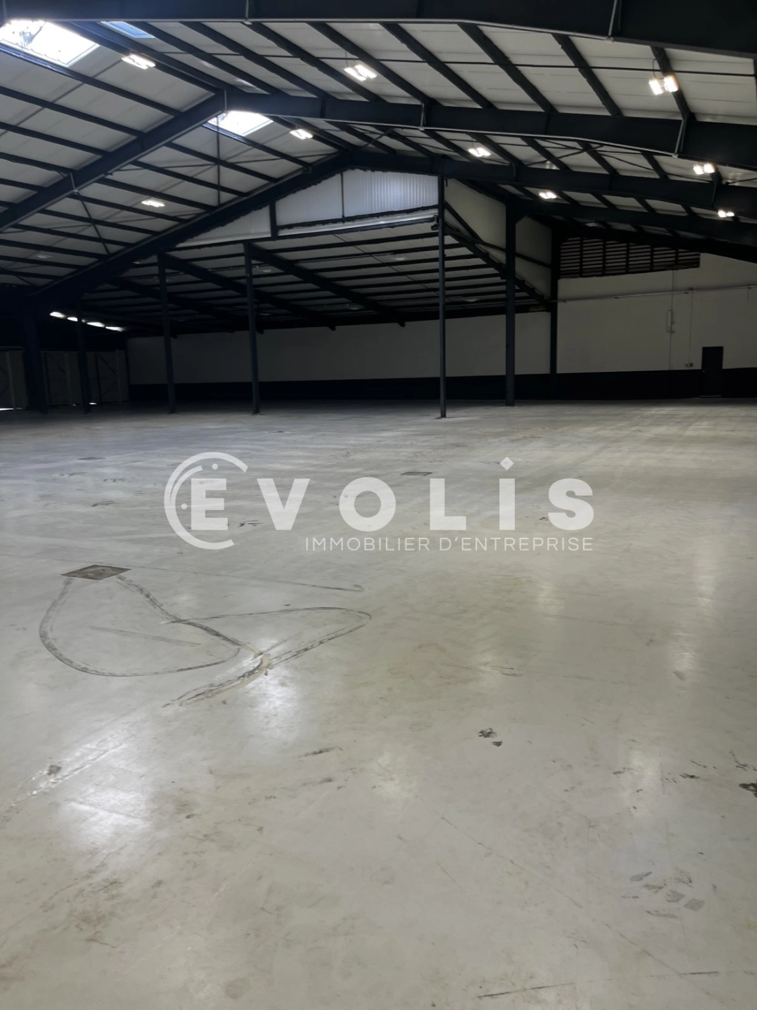 Photo 4 – location Entrepôts / activités	CHATEAURENARD (13160)