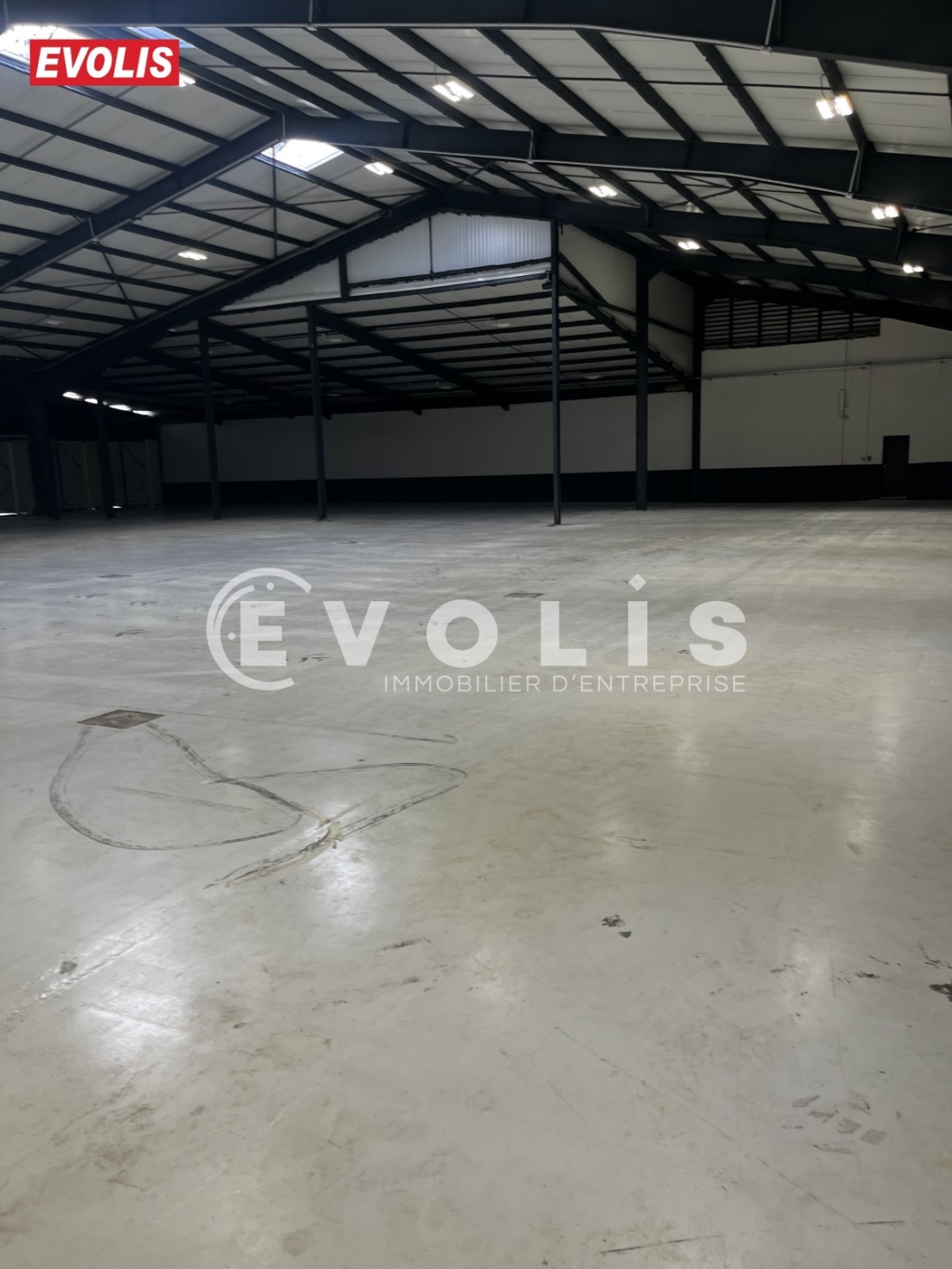 Photo 1 – location Entrepôts / activités	CHATEAURENARD (13160)