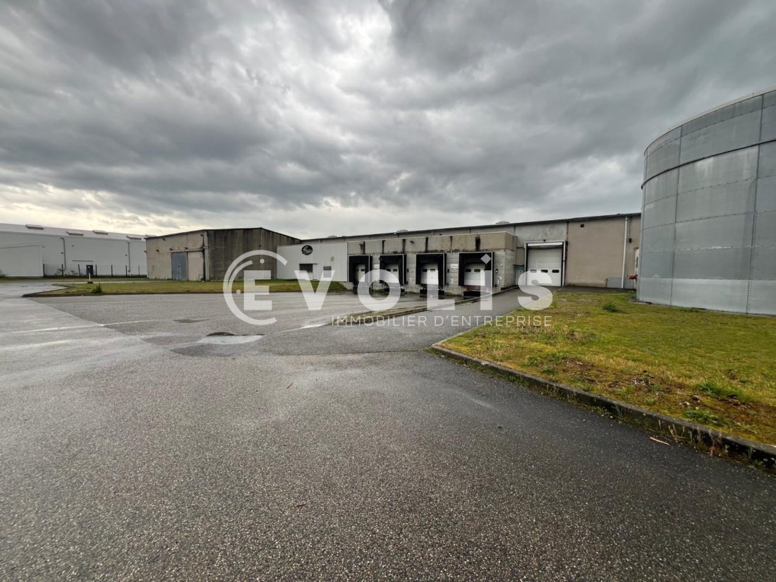 Photo 8 – vente Entrepôts / activités	MEYZIEU (69330)