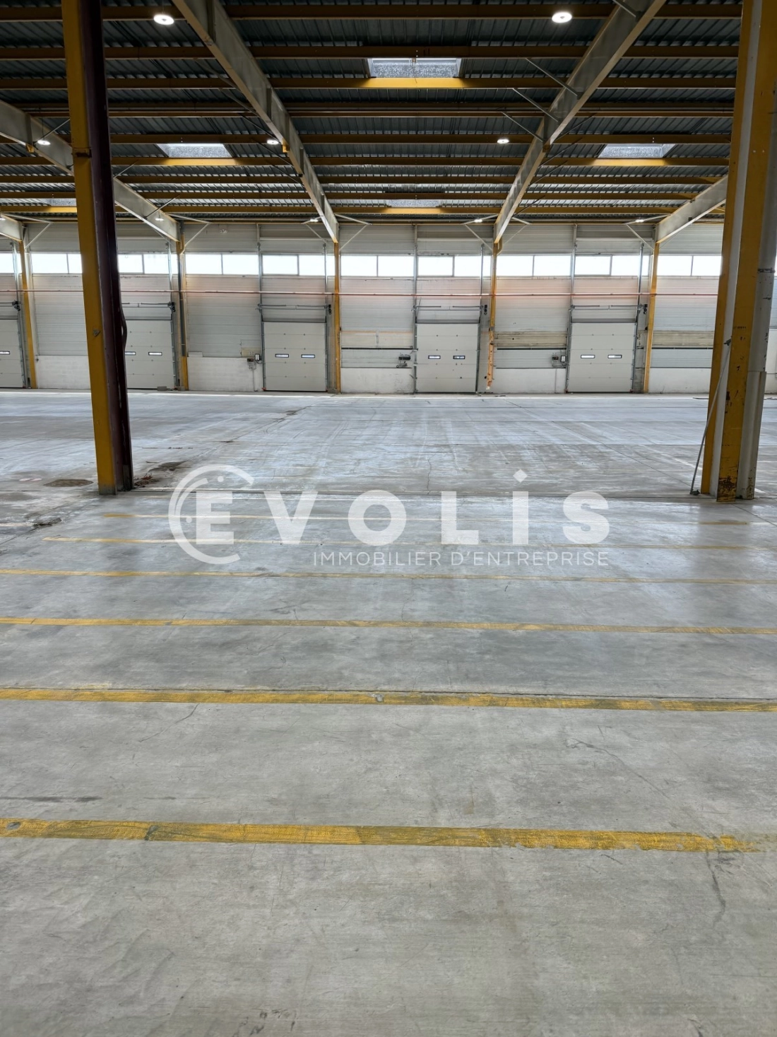 Photo 8 – location Entrepôts / activités	AVIGNON (84000)