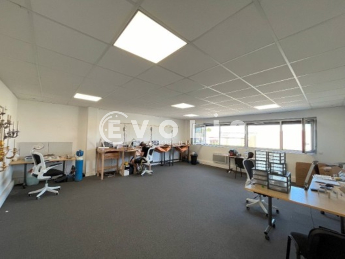 Photo 13 – location Entrepôts / activités	DECINES CHARPIEU (69150)