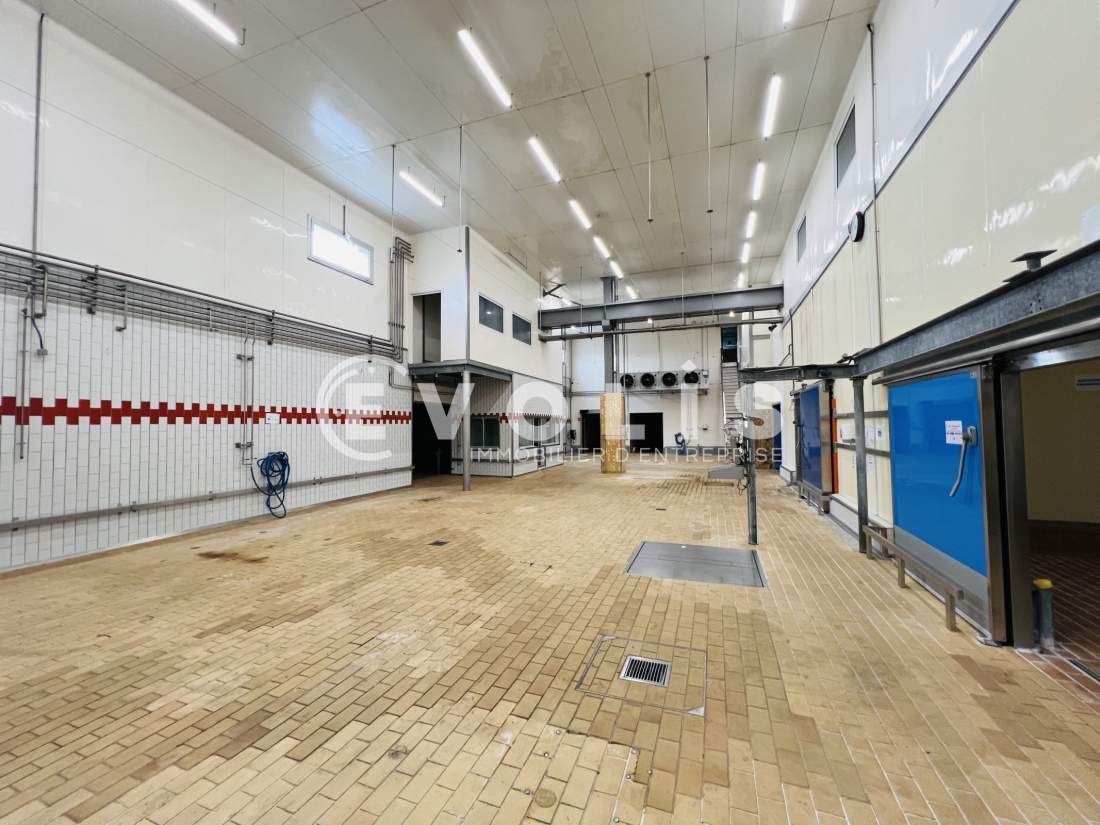 Photo 3 – location Entrepôts / activités	GRETZ ARMAINVILLIERS (77220)