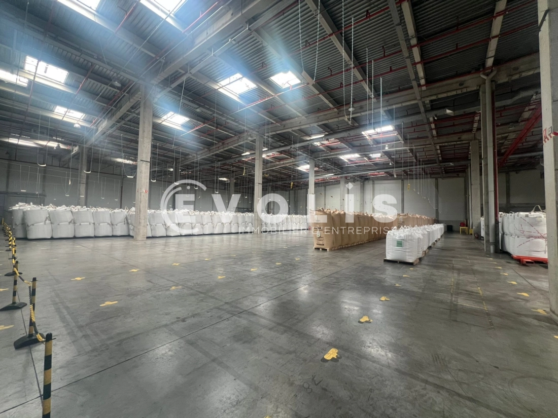 Photo 10 – location Entrepôts / activités	VAULX MILIEU (38090)