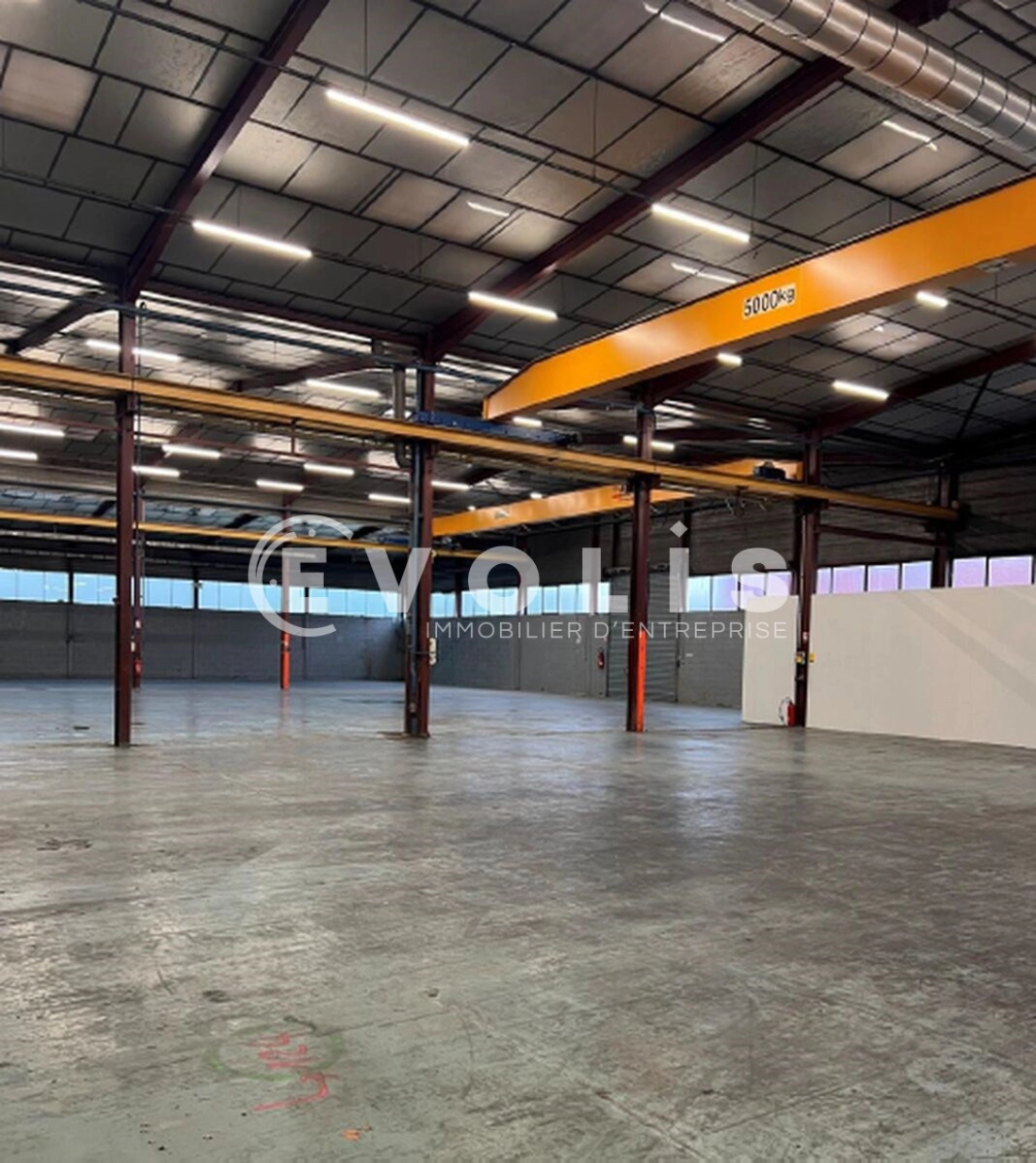 Photo 4 – location Entrepôts / activités	VAULX EN VELIN (69120)