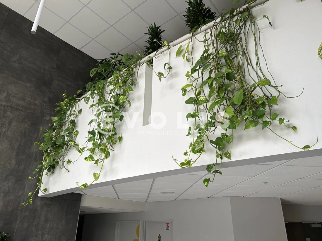 Photo 7 – location bureaux	PESSAC (33600)