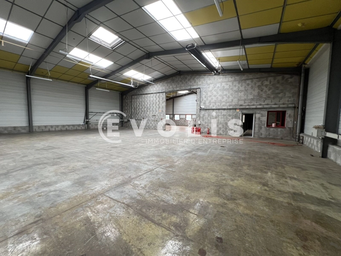 Photo 12 – location Entrepôts / activités	MONTLUEL (01120)