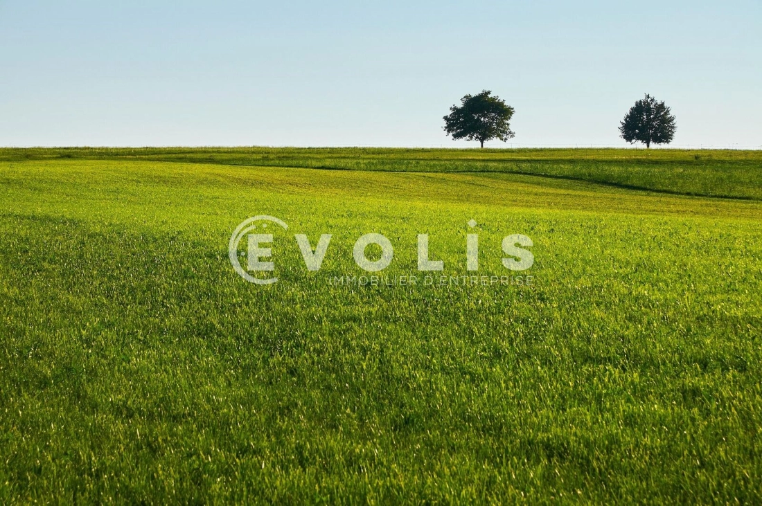 Photo 2 – vente Terrains	AUDENGE (33980)