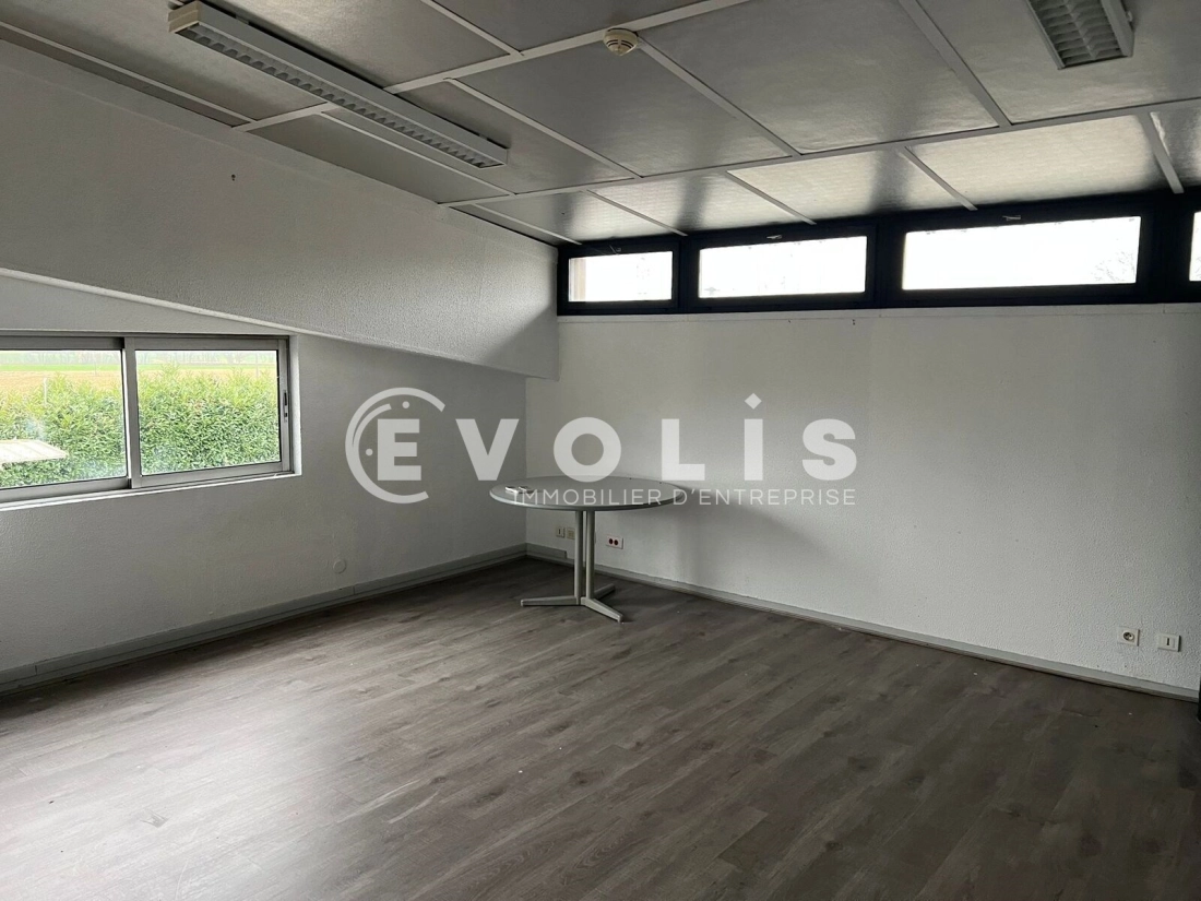 Photo 11 – location Entrepôts / activités	SAINT TRIVIER SUR MOIGNANS (01990)