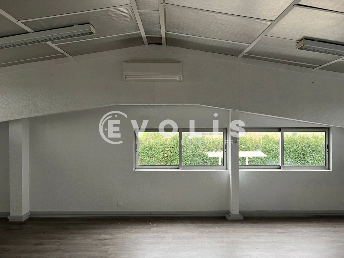 Photo 12 – location Entrepôts / activités	SAINT TRIVIER SUR MOIGNANS (01990)