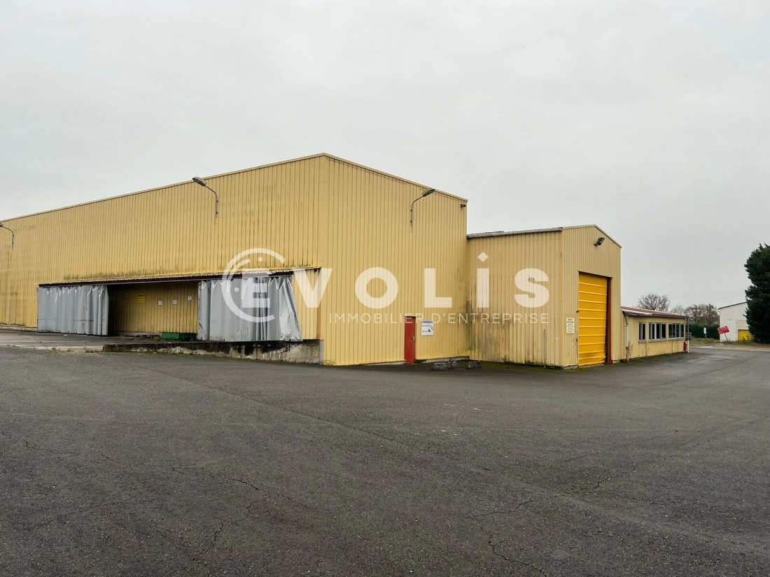 Photo 1 – location Entrepôts / activités	SAINT TRIVIER SUR MOIGNANS (01990)