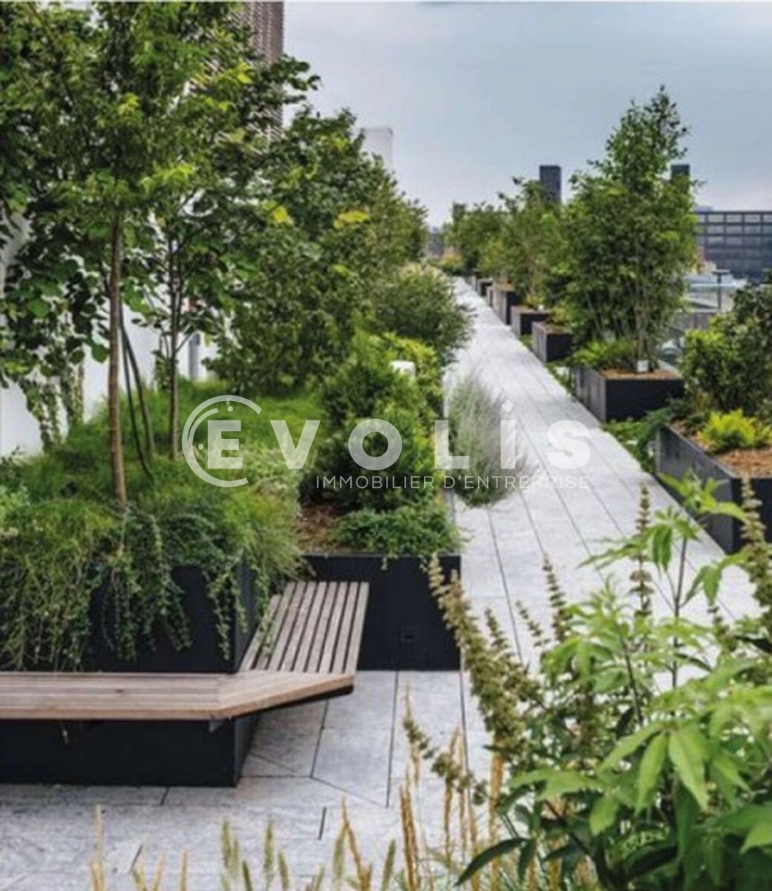 Photo 11 – location bureaux	PARIS (75015)