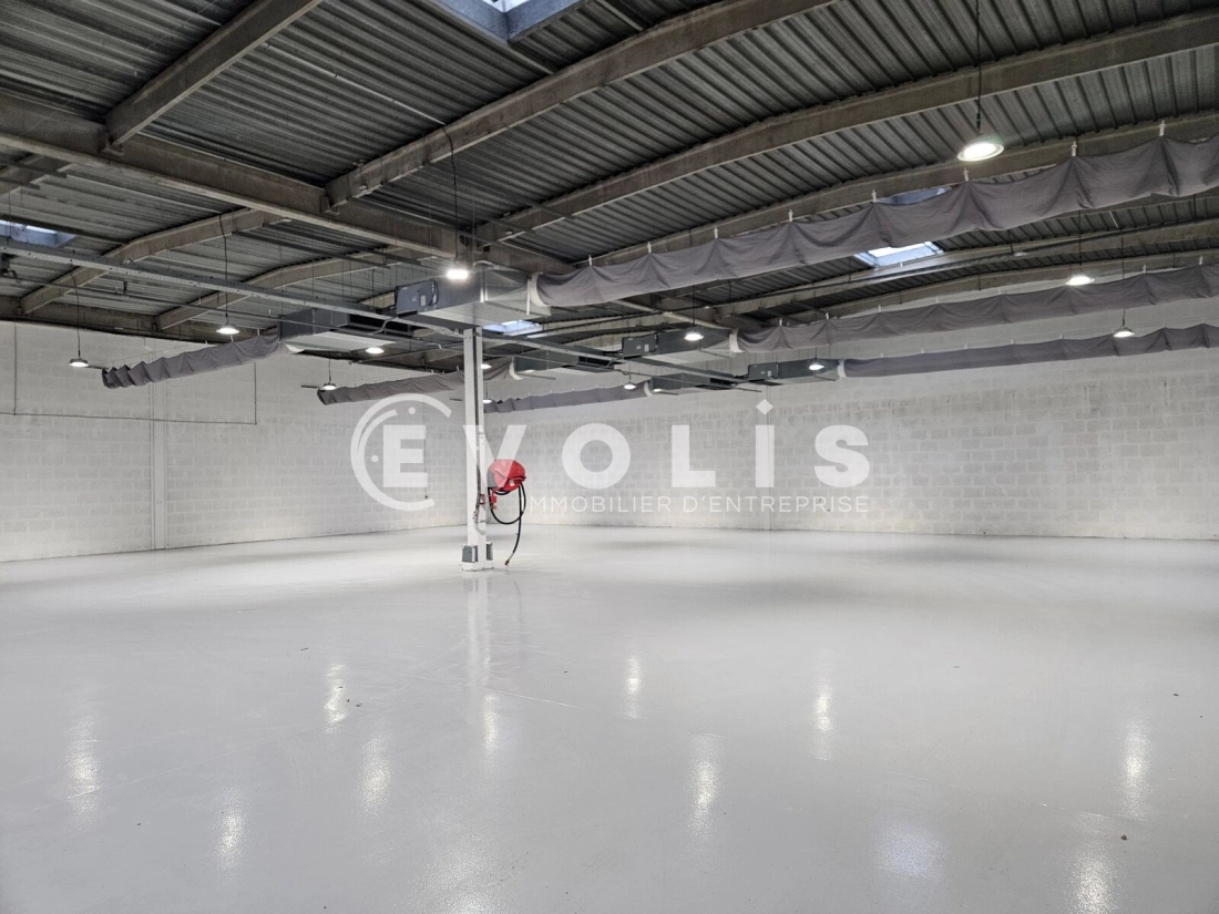 Photo 4 – location Entrepôts / activités	MASSY (91300)