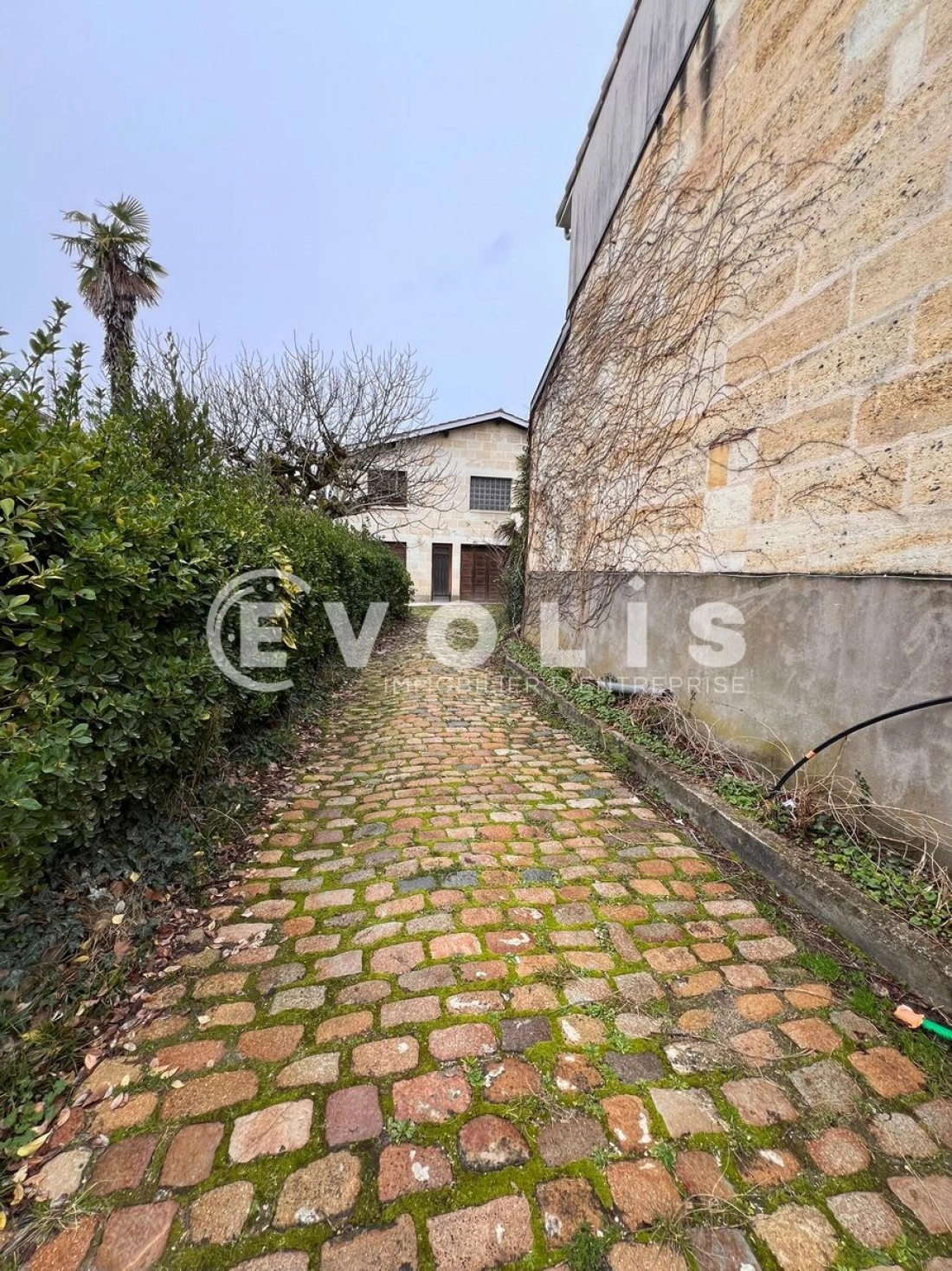 Photo 2 – vente bureaux	LE BOUSCAT (33110)