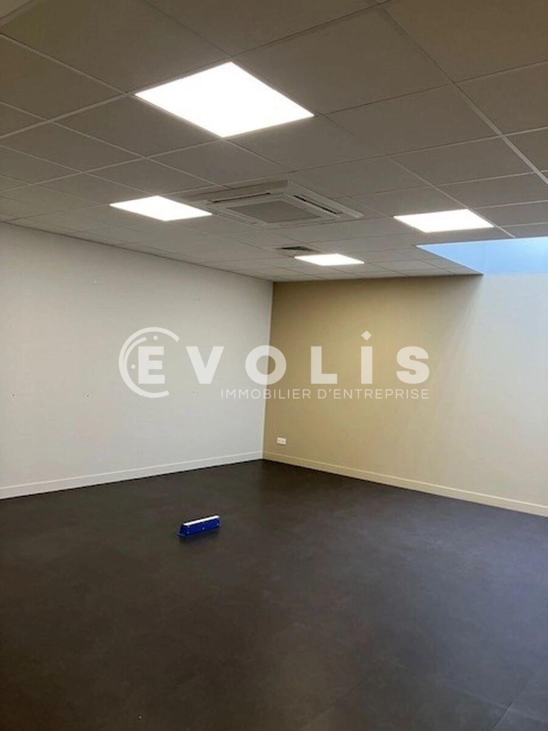 Photo 2 – location Entrepôts / activités	RUNGIS (94150)