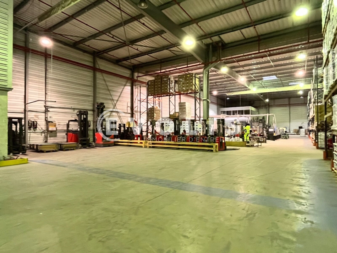 Photo 11 – location Entrepôts / activités	CANEJAN (33610)