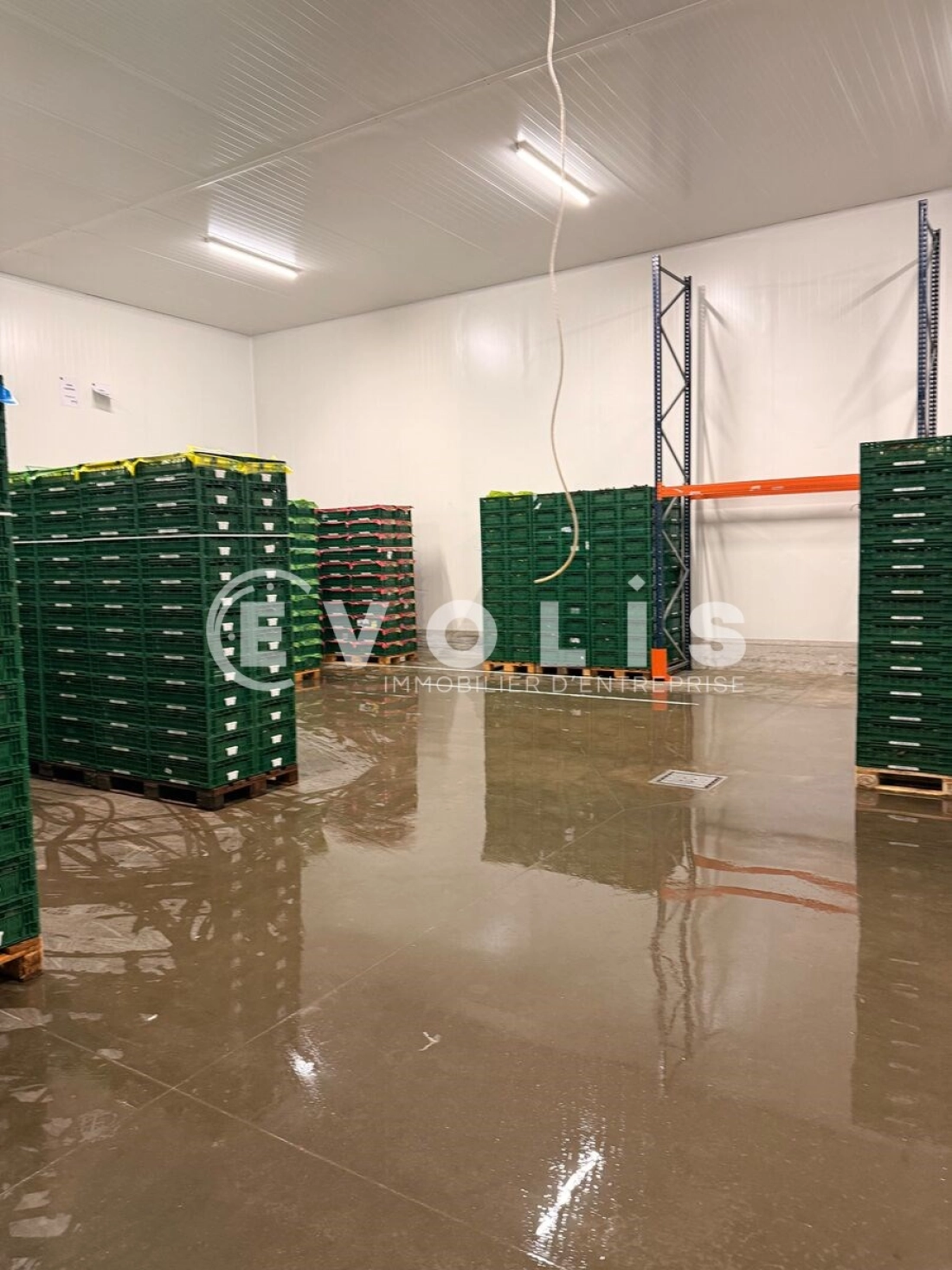 Photo 5 – vente Entrepôts / activités	VERQUIERES (13670)