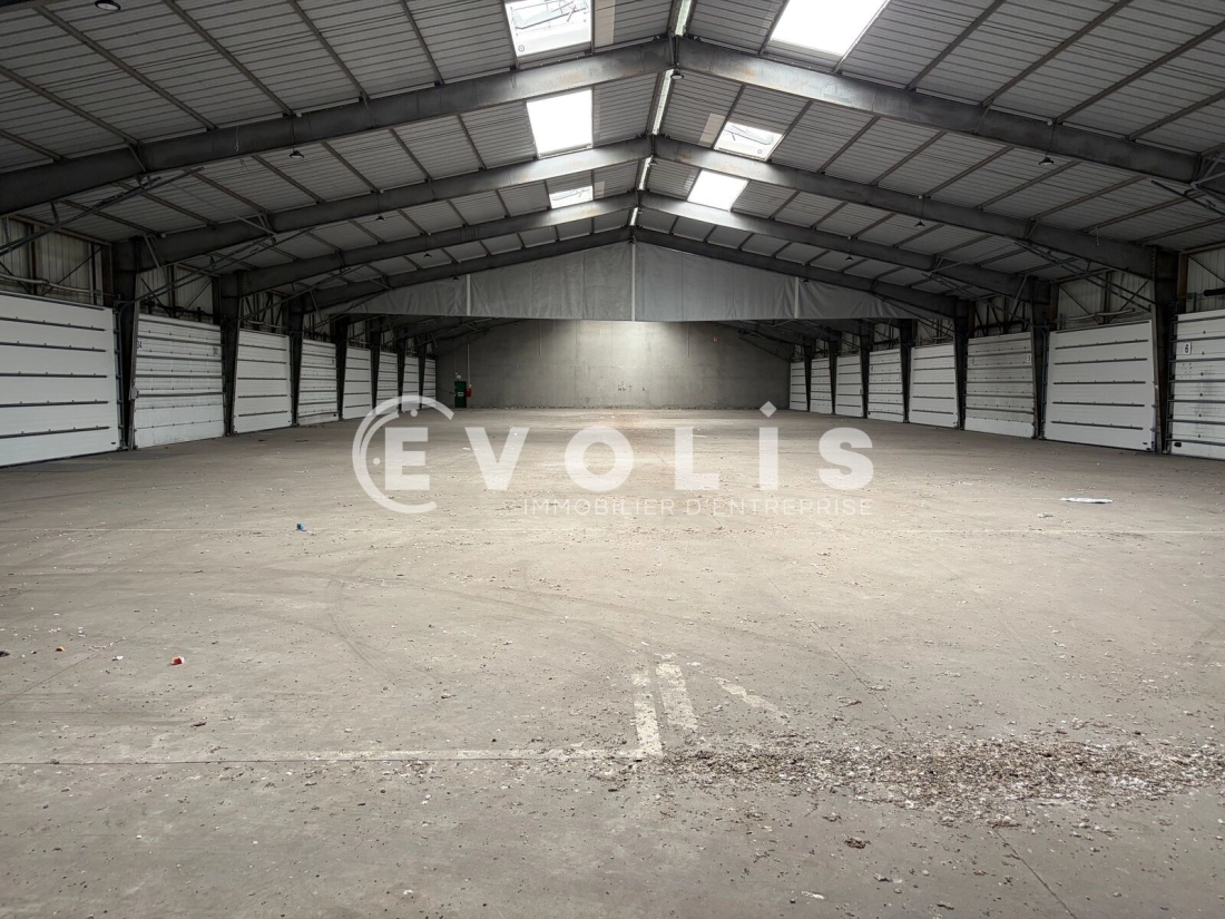 Photo 5 – vente Entrepôts / activités	LEZENNES (59260)