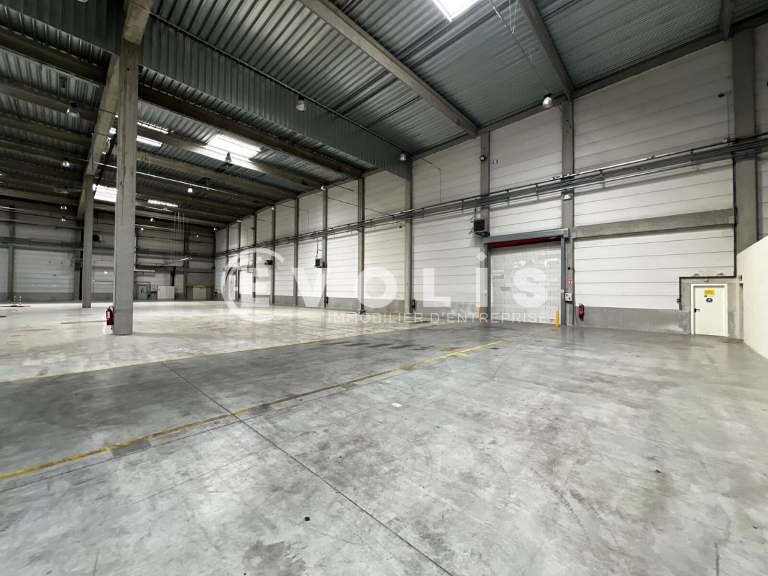 Photo 5 – location Entrepôts / activités	SAINT PRIEST (69800)