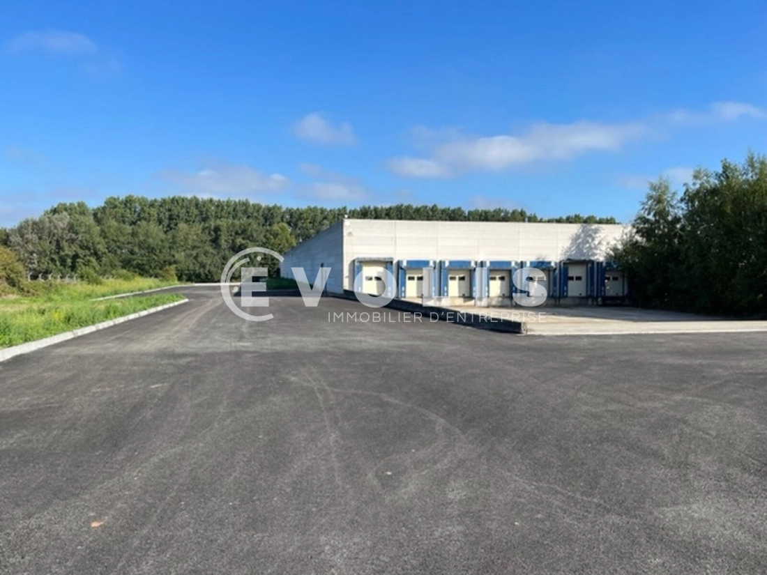 Photo 2 – location Entrepôts / activités	HALLUIN (59250)