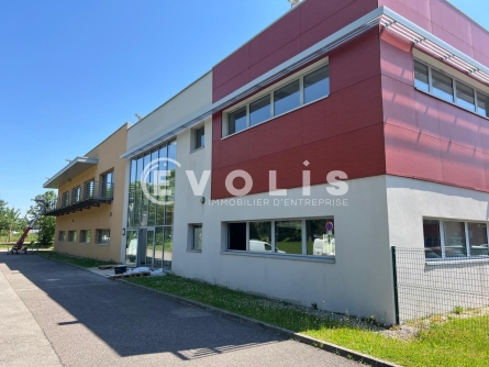 Photo 1 – location Entrepôts / activités	SAINT PRIEST (69800)